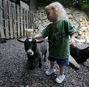 Image result for Zoo for Kids