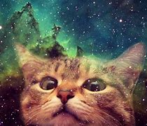Image result for Cosmic Cat in Glasses
