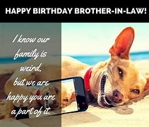 Image result for Happy Birthday Brother Funny Cat