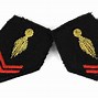 Image result for French Military Insignia