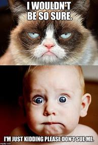 Image result for Funny Cat Memes Grumpy Cat