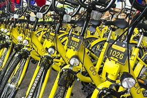 Image result for Ofo Bicycle Jpg