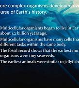 Image result for Largest Living Thing On Earth