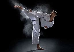 Image result for Martial Arts Iconography