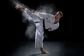 Image result for Martial Arts Using Thump