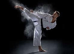 Image result for Cool Martial Arts