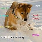 Image result for Know Your Meme Doge