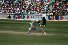 Image result for Cricket Ball Thrower