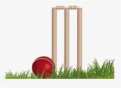 Image result for 70 Birthday Cricket Stumps Clip Art