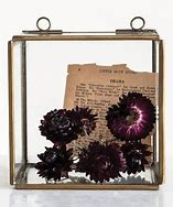 Image result for Display Cases with Dried Flowers