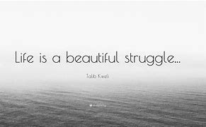 Image result for Life Is a Beautiful Struggle