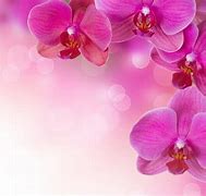 Image result for Pink Kids Wallpaper Flowers