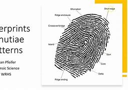 Image result for Fingerprint Minutiae Patterns