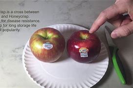 Image result for Ambrosia Apples vs Honeycrisp