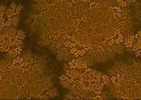 Image result for Polished Gold Texture