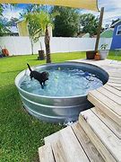 Image result for Dog Pool Ideas