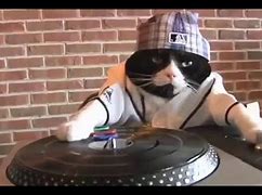 Image result for Pizza Cat DJ