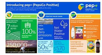 Image result for PepsiCo Company Overview
