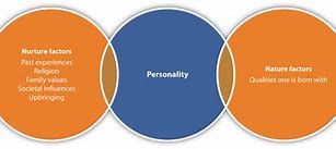 Image result for personality affect