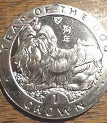Image result for 1994 Year of the Dog
