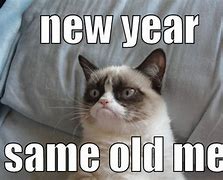 Image result for New Year's Eve Meme Cute