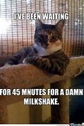 Image result for Impatient Cat Meme