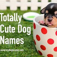 Image result for Cute Baby Dog Names