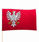 Image result for flaga_województwa_Śląskiego