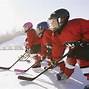 Image result for Goosr Playing Ice Hockey