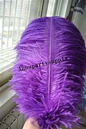 Image result for Feather Plume Clip Art