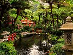 Image result for Japanese Garden Wallpaper