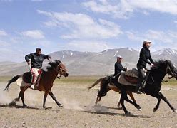 Image result for Tajik Horse