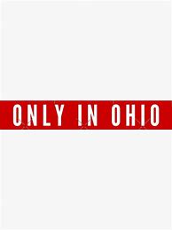 Image result for Ohio Memes Sticker