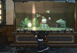 Image result for FFXIV Tank Accessories