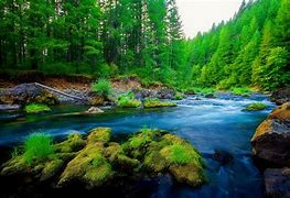 Image result for Green Nature Wallpaper HD