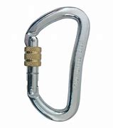 Image result for Heavy Duty Double Carabiner
