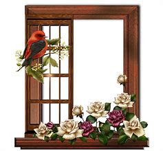 Image result for Picture Frame Wall Arrangements
