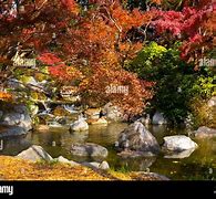 Image result for Osaka Autumn