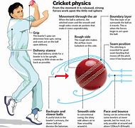 Image result for What Can We Make with a Cricket Cutter