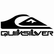 Image result for Quiksilver Logo