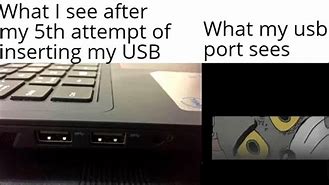Image result for Meme of USB Dingle's