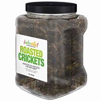 Image result for edible crickets snacks