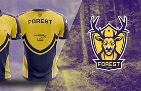 Image result for eSports Hawk Jersey
