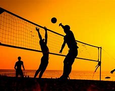 Image result for Beach Ball Volleyball Game