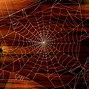Image result for Spider Web Halloween Theme