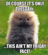 Image result for Tuesday Memes Funny Work Appropriate