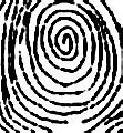 Image result for Fingerprint Types