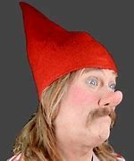 Image result for Gnome Meme Profile