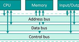 Image result for Computer Bus