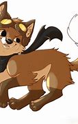 Image result for Animal Jam Foxes